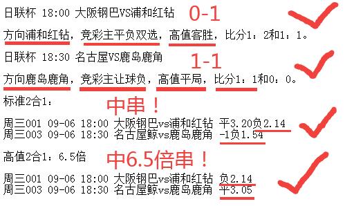 新澳门今晚开特马三肖八码必中2025-2024年11月,词语释义解释落实