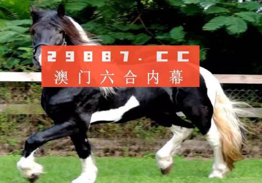 澳门与香港一肖一码一一子中特,澳门释义成语解释