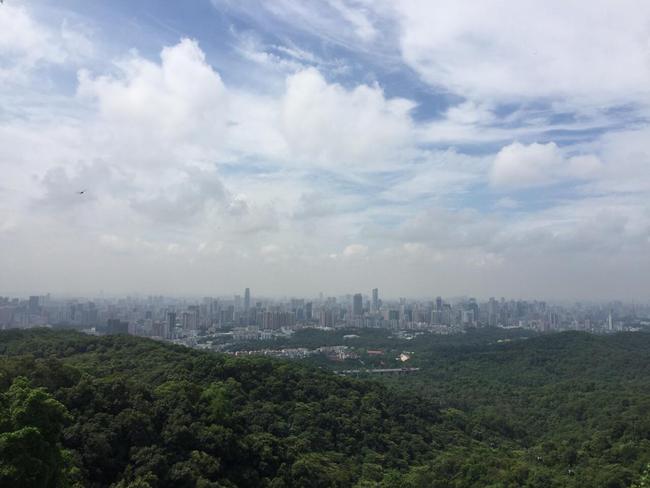 广东省稀土集团的级别与影响力研究