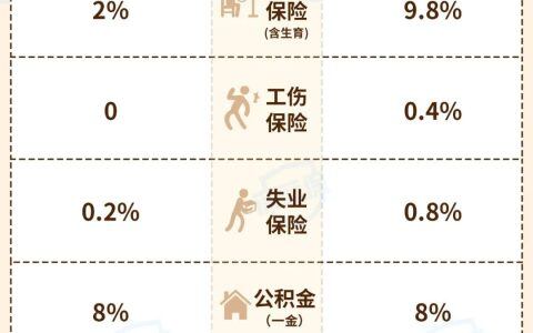 社保缴费多少钱一个月，深度解析与实例展示