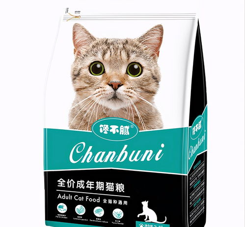 三个月大的猫咪的饮食指南，它们应该吃什么？