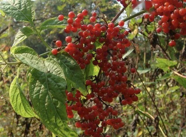 广东省最好的接骨医院，专业治疗与全面护理的典范