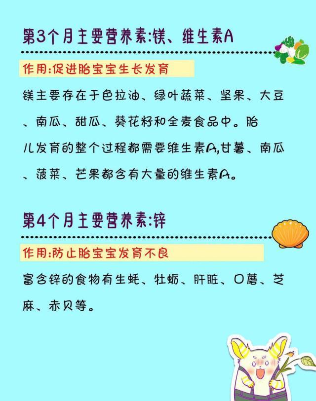 四个月的孕妇营养需求与胎儿健康，饮食建议及营养补充策略